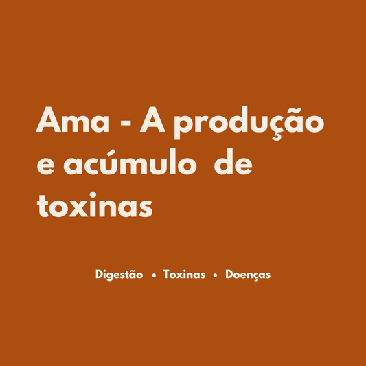 A Digestão e o Impacto das Toxinas no Corpo