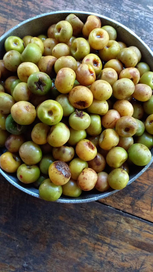 AMLA em pó